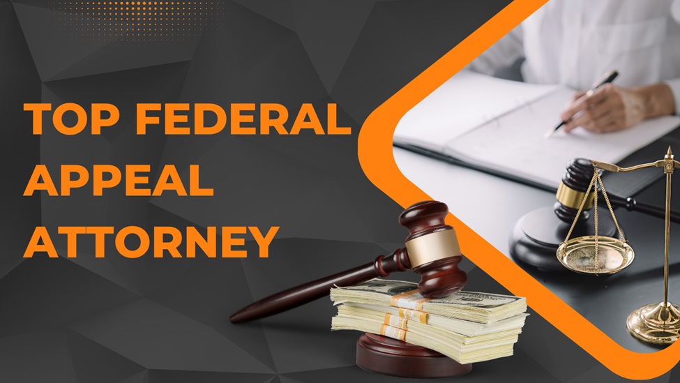 The Intricacies of Federal Appeal Courts and their Procedural ...